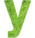 Letter y with texture of fern leaves, font Helvetica Word