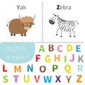 Letter Y Z Yak Zebra Zoo alphabet. English abc with animals Letters with face, eyes. Education cards for kids White back Royalty Free Stock Photo