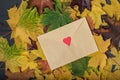 Letter on yellow fallen leaves. Envelope with heart Royalty Free Stock Photo