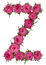 Letter Z alphabet from flowers of roses, isolated on white background Royalty Free Stock Photo