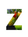 Letter Z of the alphabet made with a bunch of tomatoes, yellow unripe and red ripe tomatoes