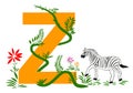Letter Z with green grass vines and Zebra