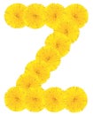 Letter Z made from dandelions Royalty Free Stock Photo