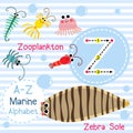 Letter Z tracing. Zooplankton. Zebra Sole. Marine alphabet