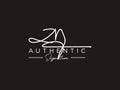 Letter ZN Signature Logo Template Vector