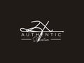 Letter ZX Signature Logo Template Vector