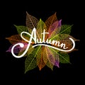 Lettering Autumn on backdrop with skeleton leaves. Autumn background. Vector illustration. Royalty Free Stock Photo