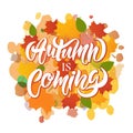 Lettering of autumn is coming on watercolor background Royalty Free Stock Photo