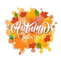 Lettering of autumn on watercolor background Royalty Free Stock Photo