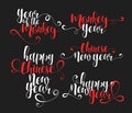 Lettering calligraphy set. Happy Chinese New Year. Monkey year Royalty Free Stock Photo