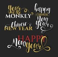 Lettering calligraphy set. Happy Chinese New Year. Monkey year Royalty Free Stock Photo