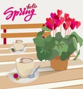 Lettering Hello spring. A table in a cafe with a flower cyclamen in a pot and a cup of coffee with candy. Vector illustration for
