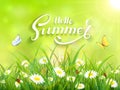 Lettering Hello Summer on green nature background Royalty Free Stock Photo