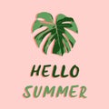 Lettering hello summer with leaves palm on pink background