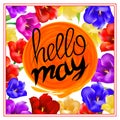 Lettering hellow may. sun orange. background with colorful flowers tulip isolated on white background. Vector EPS10. Royalty Free Stock Photo