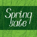 Lettering with the inscription `Spring sale` on a green background. Hand writing.