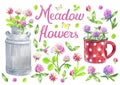 Lettering Meadow flowers. Metallic polka dot mug. Bouquet of red clover. A metal milk can with flowers Royalty Free Stock Photo