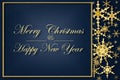 Merry Christmas and Happy New Year card