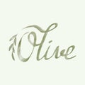 Lettering olive hand drawn isolated on background