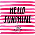 Lettering romantic summer quote hello sunshine. Hand drawn Sketch typographic design sign, Vector Illustration on color lines back