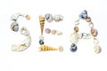 Lettering sea of small marine colorful light orange blue pink purple seashells of different shapes on white backdrop. Snail shell