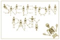 Lettering skeleton party with dancing skeletons font, set of let Royalty Free Stock Photo