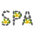 Lettering Spa Made of Pebbles and Frangipani Flowers