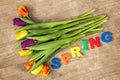 Lettering SPRING and colorful tulips