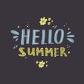 Lettering in the style of doodle. Inscription Hello summer. Vector flat design