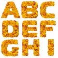 Letters from alphabet from yellow and orange flowe