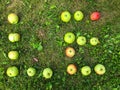 Letters from apples. letter L and e, apple lettering. letters for word, congratulations, creative image of words. edible letter, Royalty Free Stock Photo