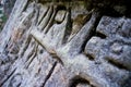 Letters carved into wall