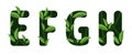 Letters E F G H of the alphabet. Leaf design