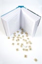 letters falling from a book Royalty Free Stock Photo