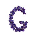 Letters of flowers, a bright alphabet of purple petals. Letter G