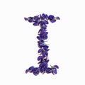 Letters of flowers, a bright alphabet of purple petals. Letter I