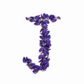 Letters of flowers, a bright alphabet of purple petals. Letter J