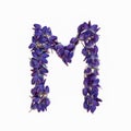 Letters of flowers, a bright alphabet of purple petals. Letter M