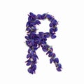 Letters of flowers, a bright alphabet of purple petals. Letter R