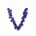 Letters of flowers, a bright alphabet of purple petals. Letter V