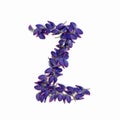 Letters of flowers, a bright alphabet of purple petals. Letter Z