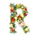 Letters of leaves and flowers Royalty Free Stock Photo