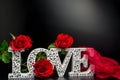 Letters Love on black background with red roses red knickers Royalty Free Stock Photo