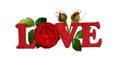 Letters LOVE made of painted wood and red rose flower isolated on white Royalty Free Stock Photo