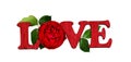 Letters LOVE made of painted wood and red rose flower isolated on white Royalty Free Stock Photo