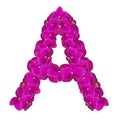 Letters made of pink flowers. A letter - flower alphabet