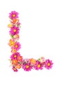 Letters and numbers made from live flowers isolated on white background, make text with flowers alphabet, exclusive idea for graph Royalty Free Stock Photo