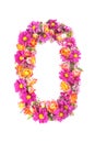 Letters and numbers made from live flowers isolated on white background, make text with flowers alphabet, exclusive idea for graph Royalty Free Stock Photo