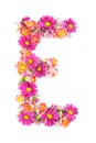 Letters and numbers made from live flowers isolated on white background, make text with flowers alphabet, exclusive idea for graph Royalty Free Stock Photo