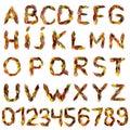 Letters and numbers maked of colorful autumn leaves. Characters made of fall foliage. Autumnal design font concept